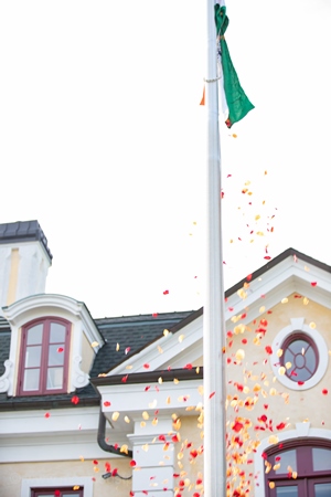 Cons Indep_Tricolor_300.jpg